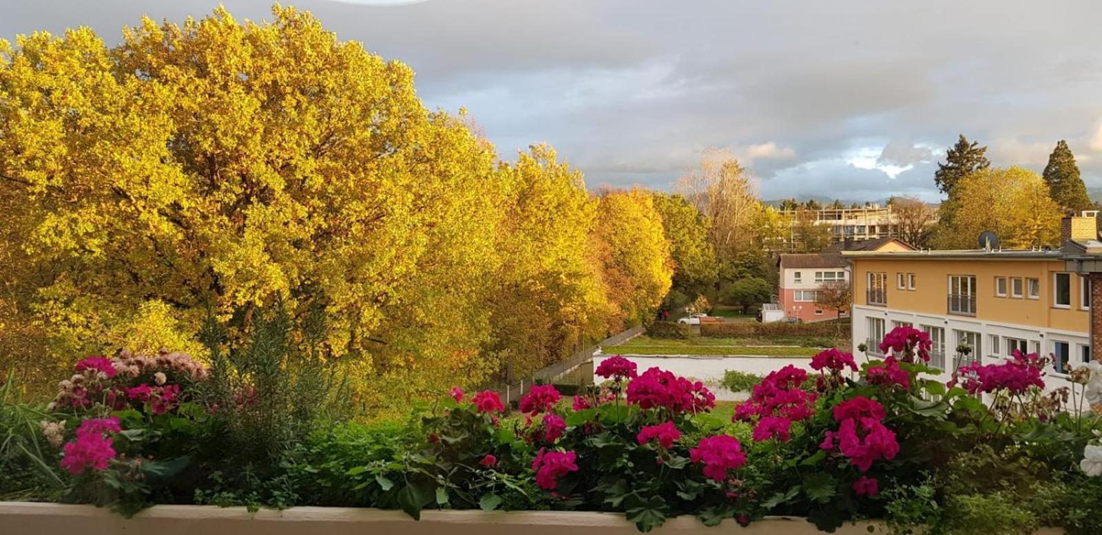 באד קרוצינגן Mariaprimavera Apartment Am Kurpark Mit Schwarzwaldblick * * * * מראה חיצוני תמונה
