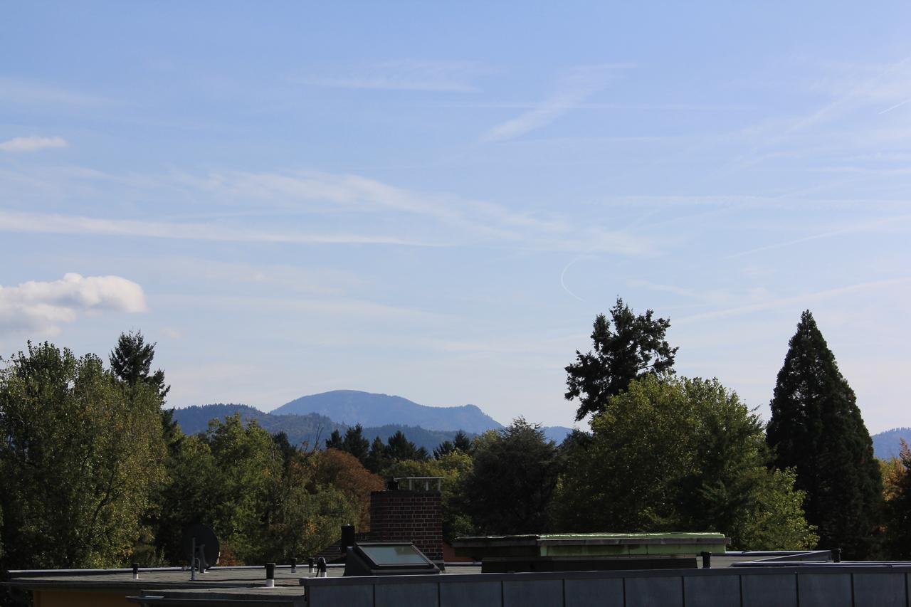 באד קרוצינגן Mariaprimavera Apartment Am Kurpark Mit Schwarzwaldblick * * * * מראה חיצוני תמונה